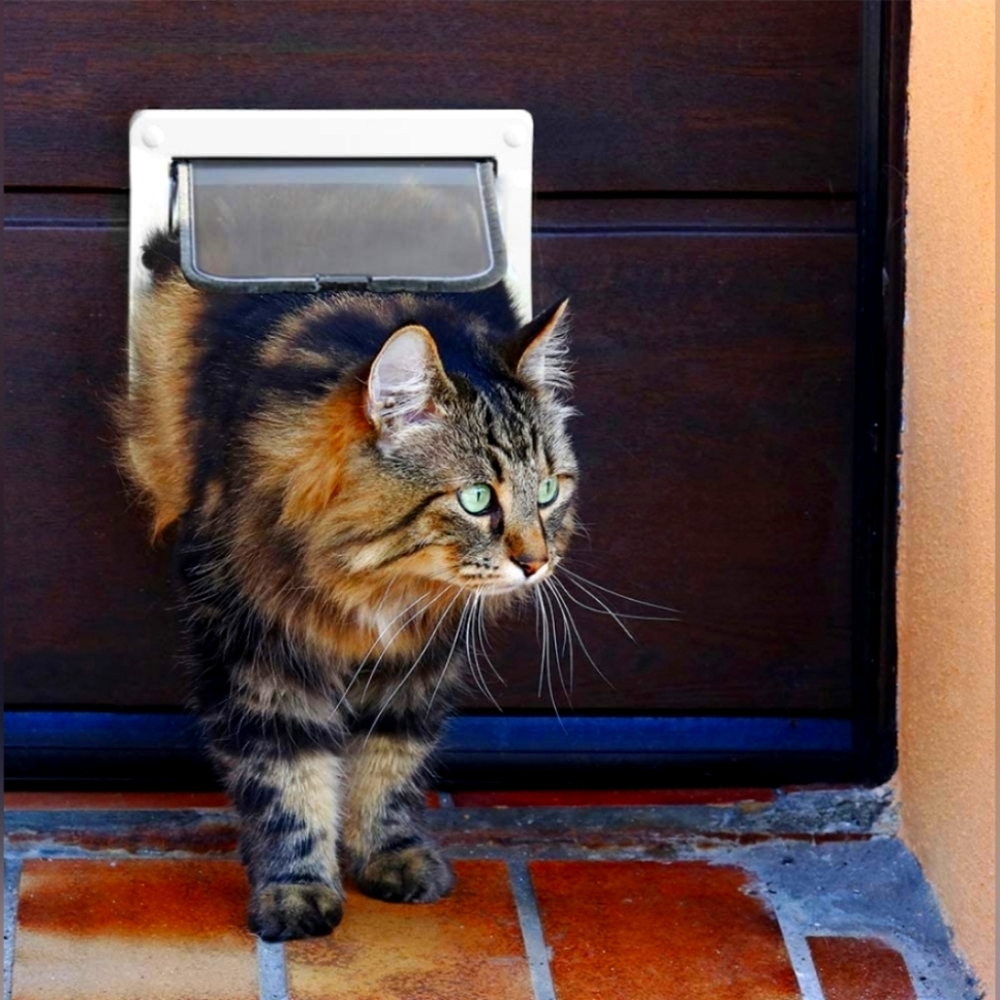 Plastic Pet Door with Soft Tinted Flap, White, Medium